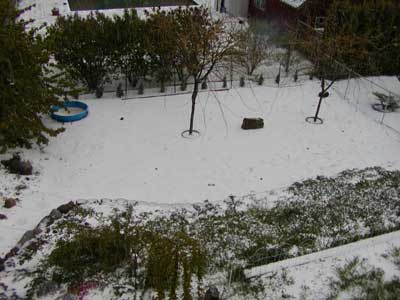The back yard is pretty!